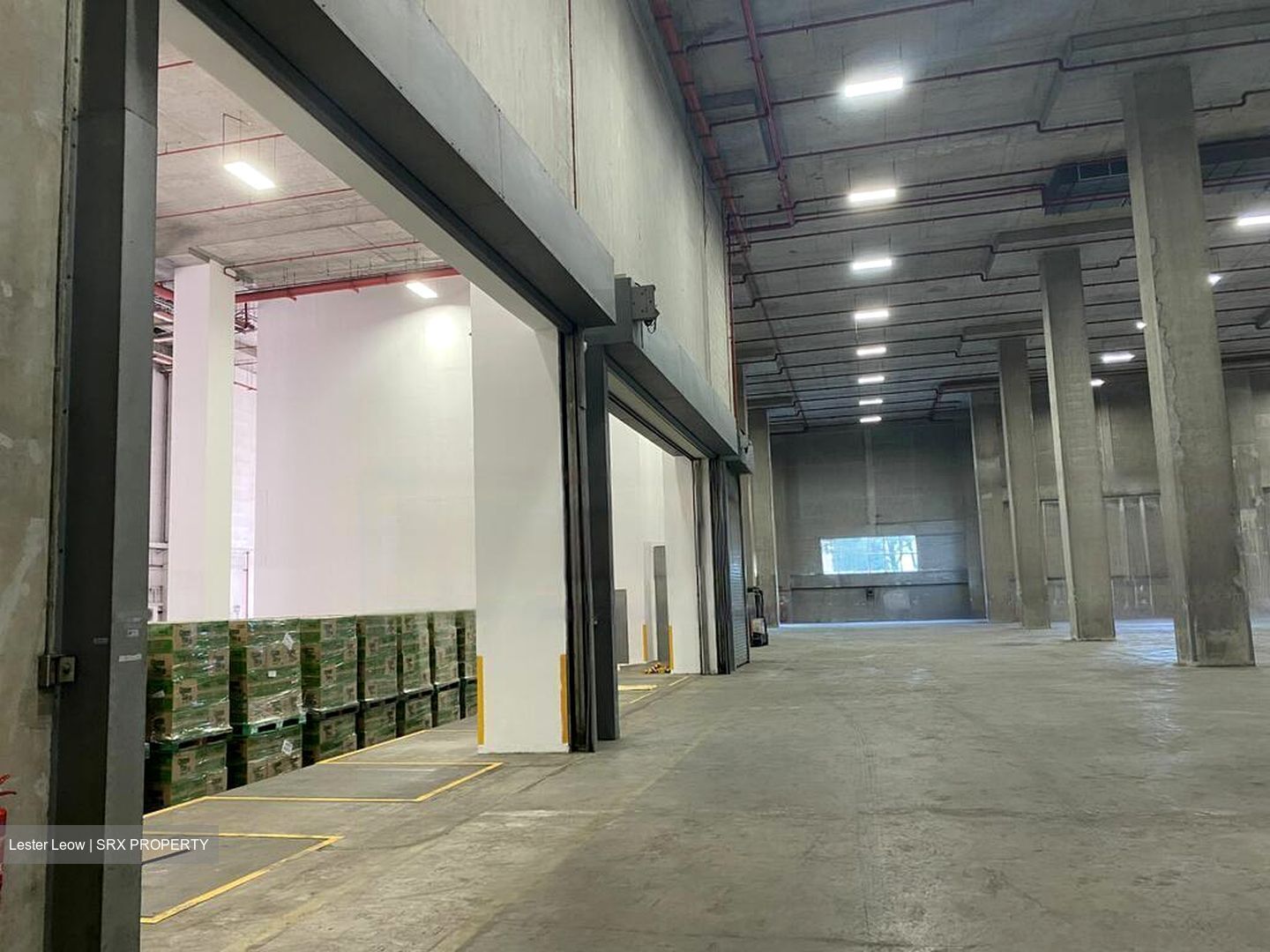 Benoi Crescent (D22), Warehouse #484959961
